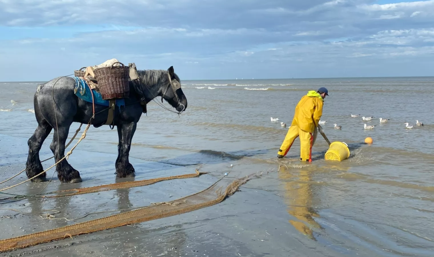 Garnaalvisser te paard Oostduinkerke