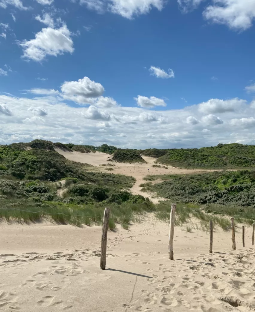 Duinen Oostduinkerke